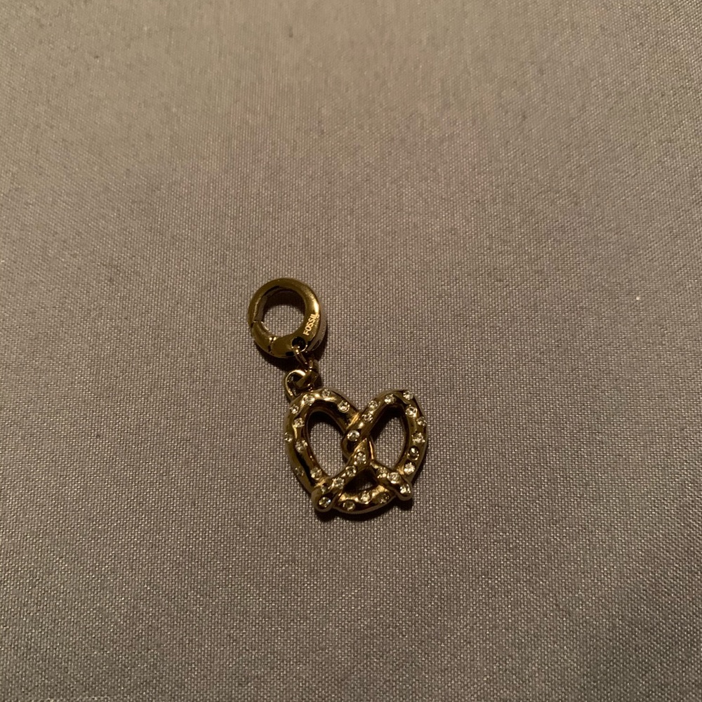 Fossil Charms